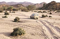 Field research in Taif, Saudi Arabia