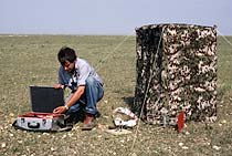 Preparing hide for longterm observation of bustards, Southern France