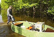 Field research in riverine forest, Croatia