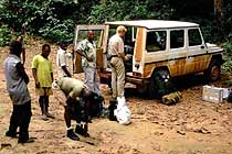 Research in rain forest with local staff, Congo Basin